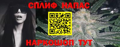 jwh Будённовск