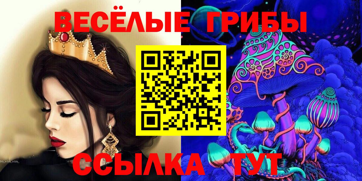 Нальчик  Галлюциногенные грибы MAGIC MUSHROOMS  закладки  Вход с VPN 