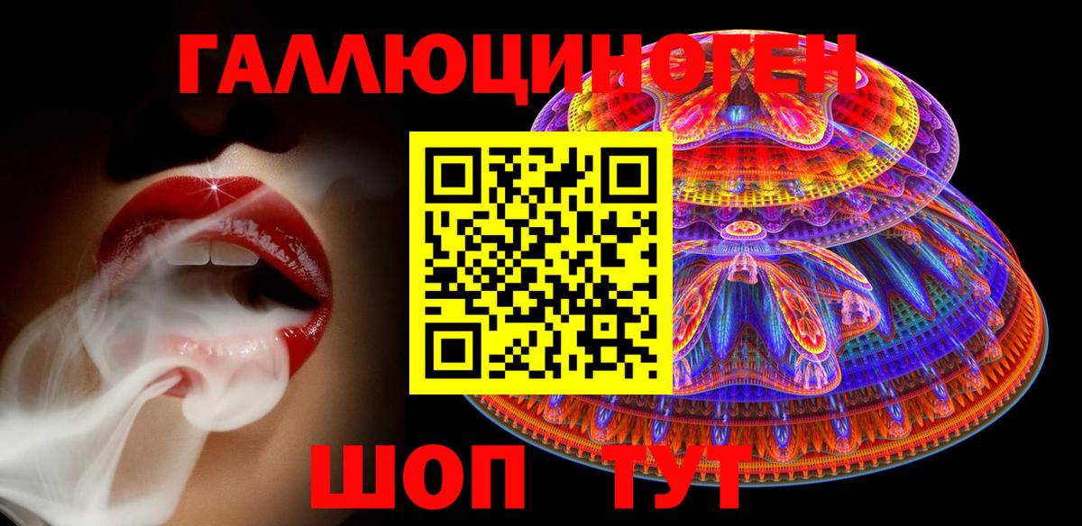 Галлюциногенные грибы Psilocybe Нальчик